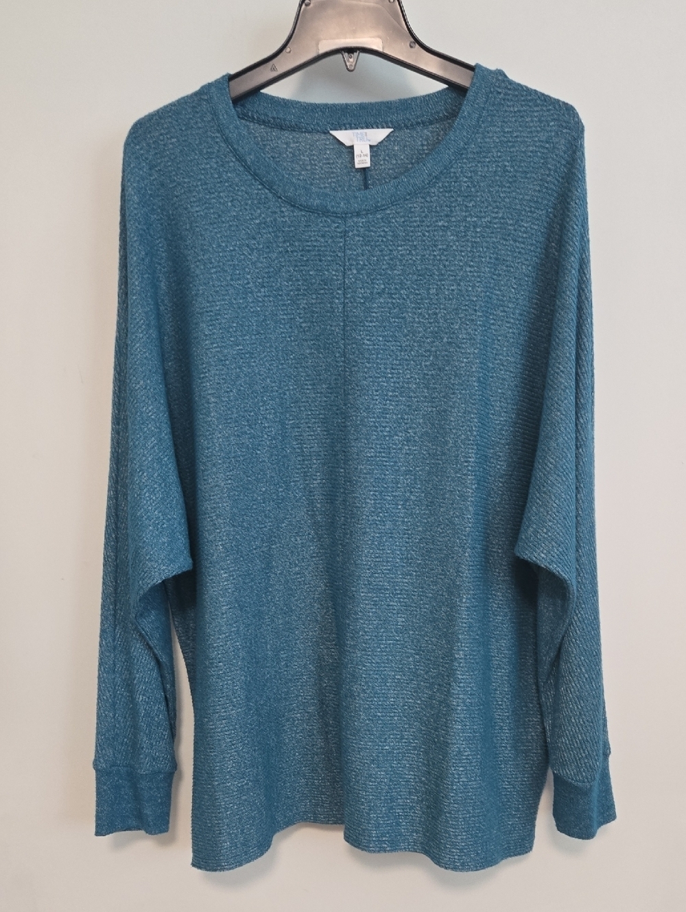 [5x$20] Blue Teal Crewneck Sweater / Size Large